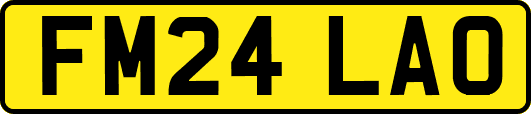 FM24LAO