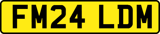 FM24LDM