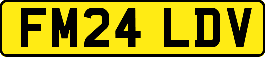 FM24LDV