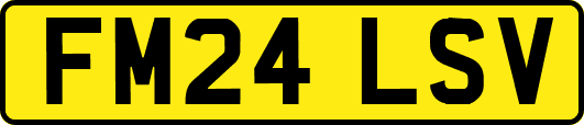 FM24LSV