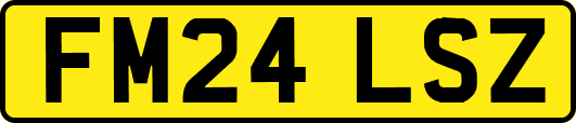 FM24LSZ