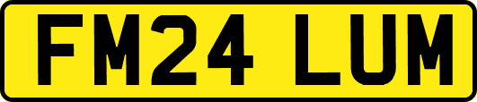 FM24LUM