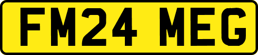FM24MEG