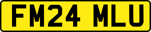 FM24MLU