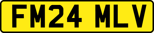 FM24MLV