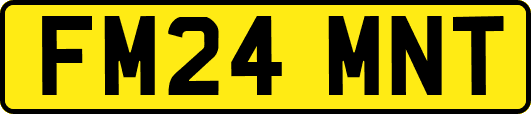 FM24MNT