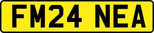 FM24NEA
