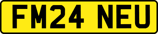 FM24NEU