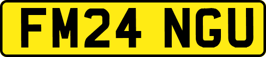 FM24NGU