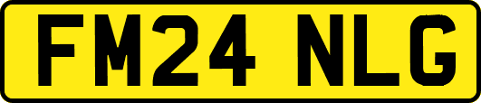 FM24NLG