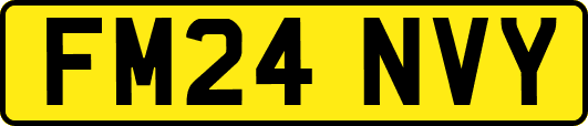 FM24NVY