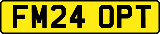 FM24OPT