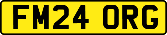 FM24ORG