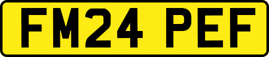 FM24PEF