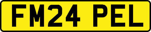 FM24PEL