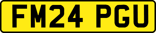 FM24PGU