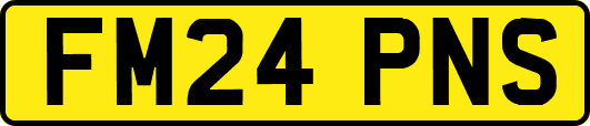 FM24PNS