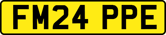 FM24PPE