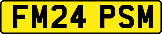FM24PSM