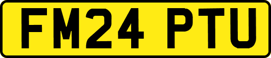 FM24PTU