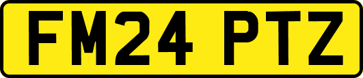 FM24PTZ