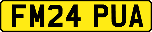 FM24PUA