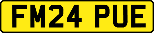 FM24PUE
