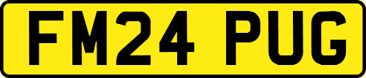 FM24PUG