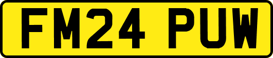 FM24PUW