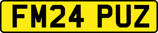 FM24PUZ
