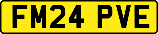 FM24PVE