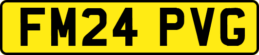 FM24PVG