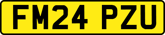 FM24PZU