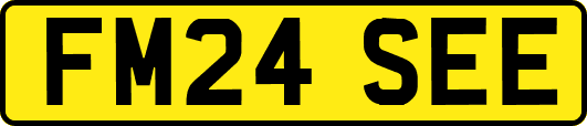 FM24SEE