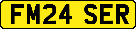 FM24SER