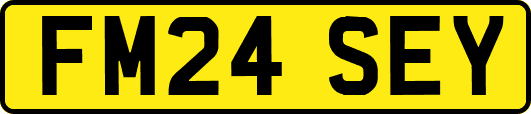 FM24SEY