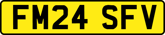 FM24SFV