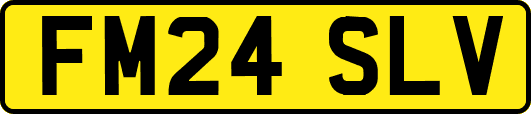 FM24SLV