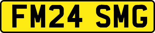 FM24SMG