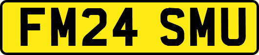 FM24SMU