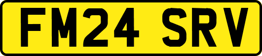 FM24SRV