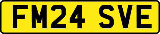 FM24SVE
