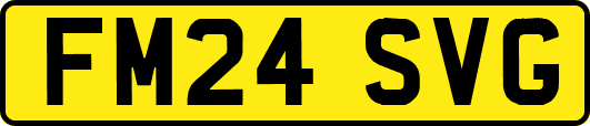 FM24SVG