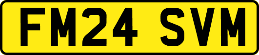 FM24SVM