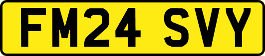 FM24SVY