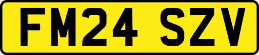 FM24SZV