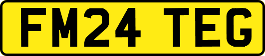 FM24TEG