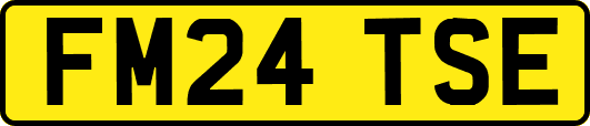 FM24TSE