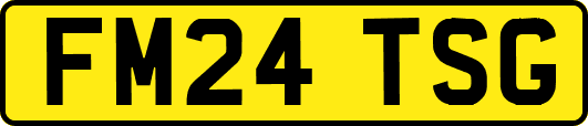 FM24TSG