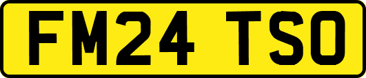 FM24TSO